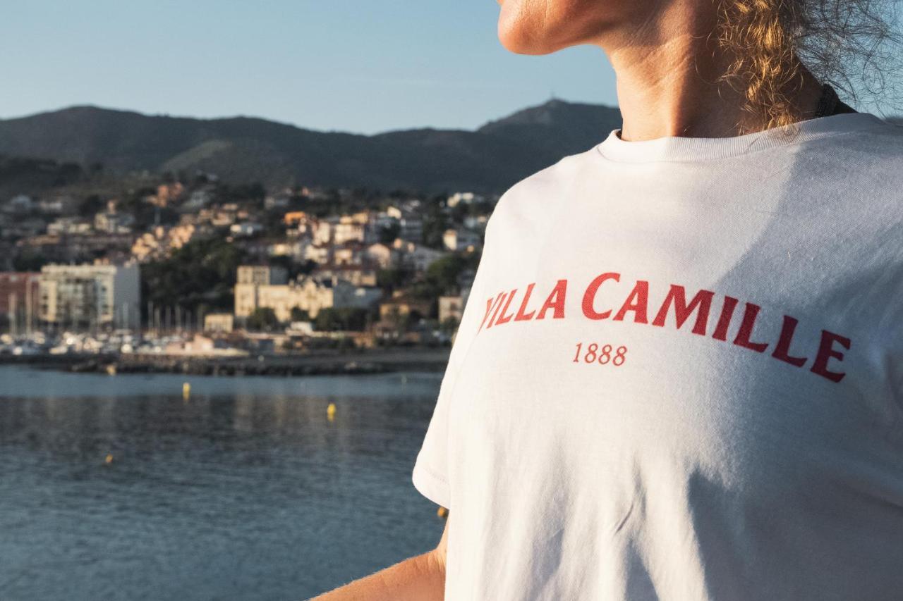 Villa Camille Hotel & Spa 滨海巴纽尔斯 外观 照片